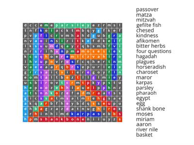Passover Wordsearch