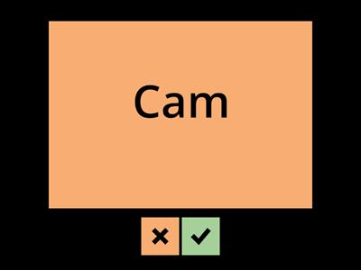 Cam and Sam flashcards