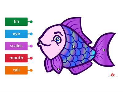 Label The Parts Of A Fish 