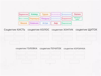 Простые соцветия (представители) 