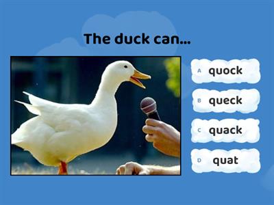 qu phonics with four choices