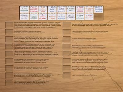 OBJETIVOS DE LA AGENDA 2030