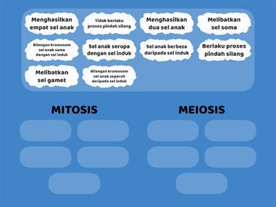 MITOSIS vs MEIOSIS