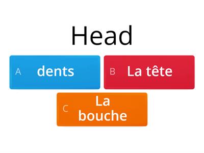 Body parts in french