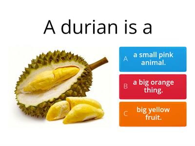 Durian AS-1