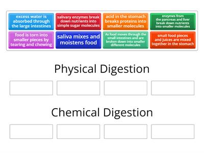 Physical vs Chemical Digestion card sort
