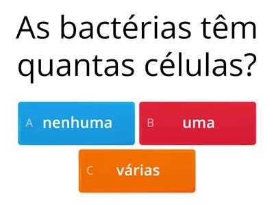 Bactérias 