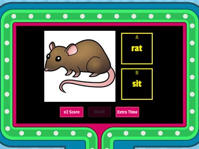 Ten vocabularies of Three letter phonic words: rat, sit, can, fan, cap, pen, ten, pet, net, hit