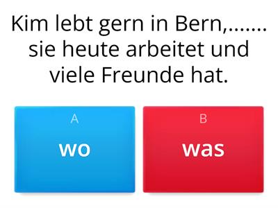 Relativsätze wo/was? (B1c)