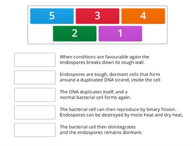 Endospore forming Bacteria