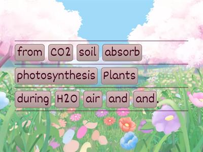 Photosynthesis: Arrange me