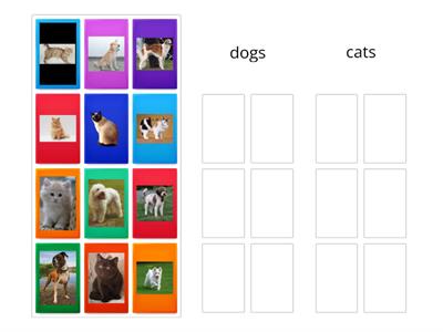 non-identical picture sort cats vs. dogs