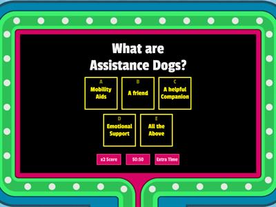 Could you be an Assistance dog Volunteer?