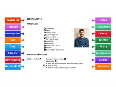 Lebenslauf - Angaben