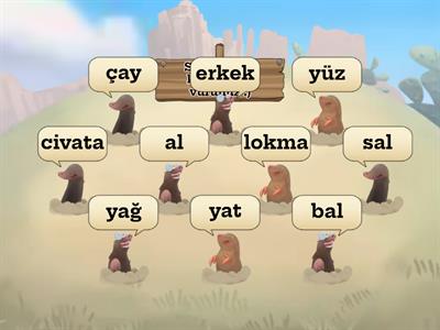 Türkçe sesteş kelimeler