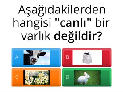 Canlı-Cansız Varlıklar 🎈🐰🎨🦋 