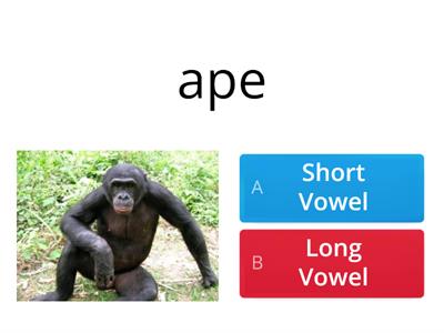 Long and Short Vowel Sounds 