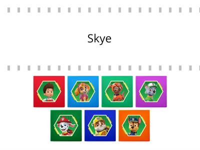 Paw Patrol Life Club Character Match (Hard)