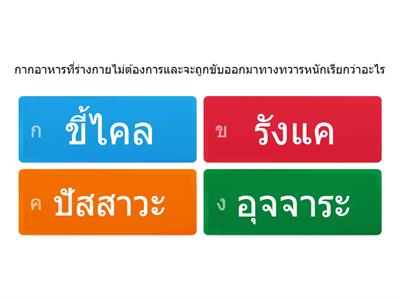 สุขศึกษาและพละศึกษา ป.4