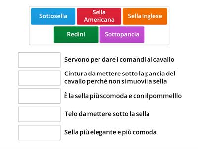 Oggetti per i cavalli (quando sei in sella)