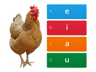 Medial short vowel choices