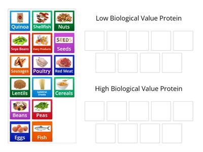 Protein Sorting activity HBV & LBV