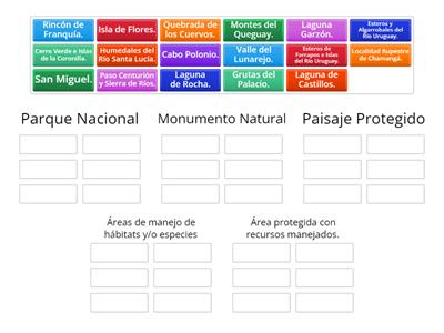 Selecciona a qué categoría pertenece cada área protegida. 