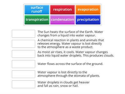 water cycle