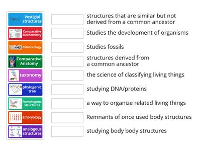 Evidence of Evolution/Classification