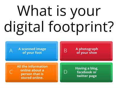 Digital footprint Quiz 1