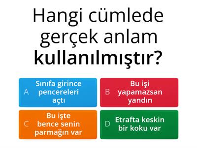 Türkçe Sorular
