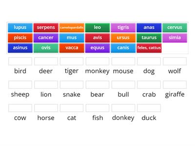 Latin Animals (Animalia)