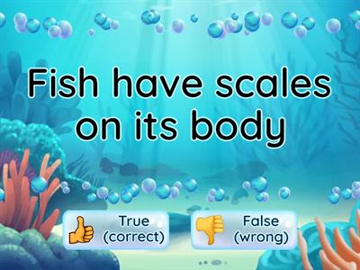 P1_T3_Characteristics of Fish_True or False