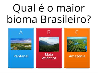 Biomas Brasileiros