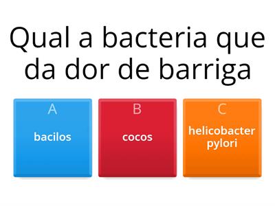 bactérias 