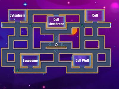 Organelles: Maze Chase