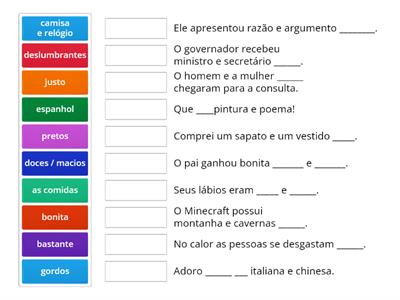  Concordancia nominal