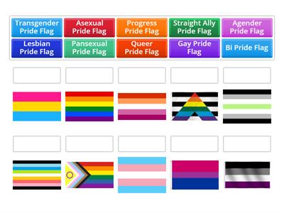 LGBTQIA+ 'Match the Flags' Interactive Activity 