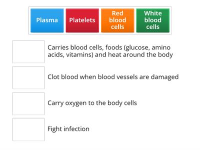 Blood cells and their functions
