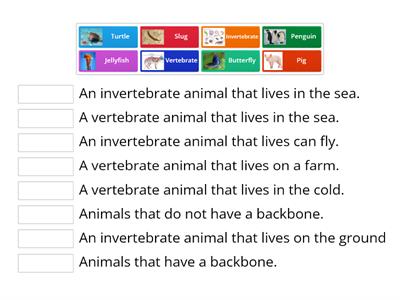 Invertebrates and Vertebrates Definition