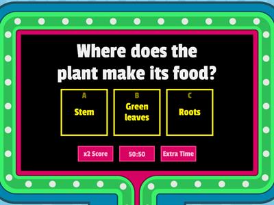 Plant parts( Photosynthesis)