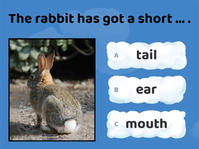 Animal quiz (have got/be, parts of the body, adjectives) easier