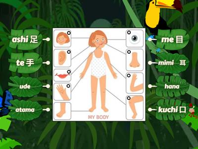 Body Parts Labelling - Japanese words