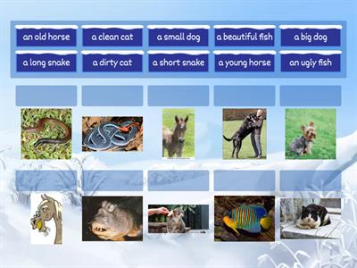 KB1 U5 Animals and adjectives revision