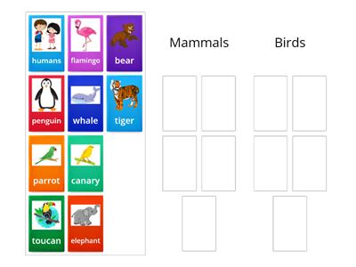 Classifying animals: Mammals or Birds?
