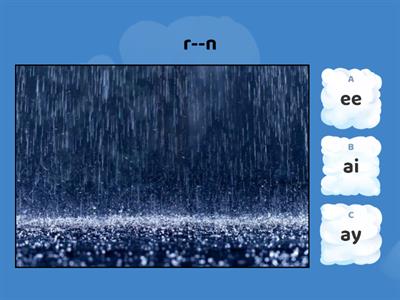 Long Vowels:  Fill in the correct vowel.