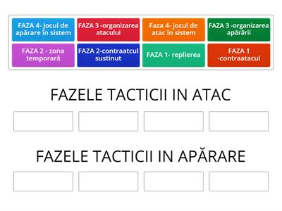 Clasa aIX-a Disciplina sportivă practicată-handbal