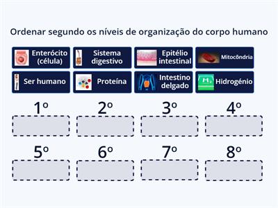 Do mais simples para o mais complexo II MJoao Carvalho