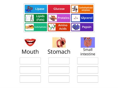 Grouping Enzymes