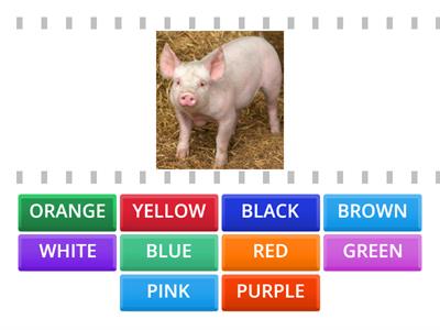 COLORS AND ANIMALS IN ENGLISH 